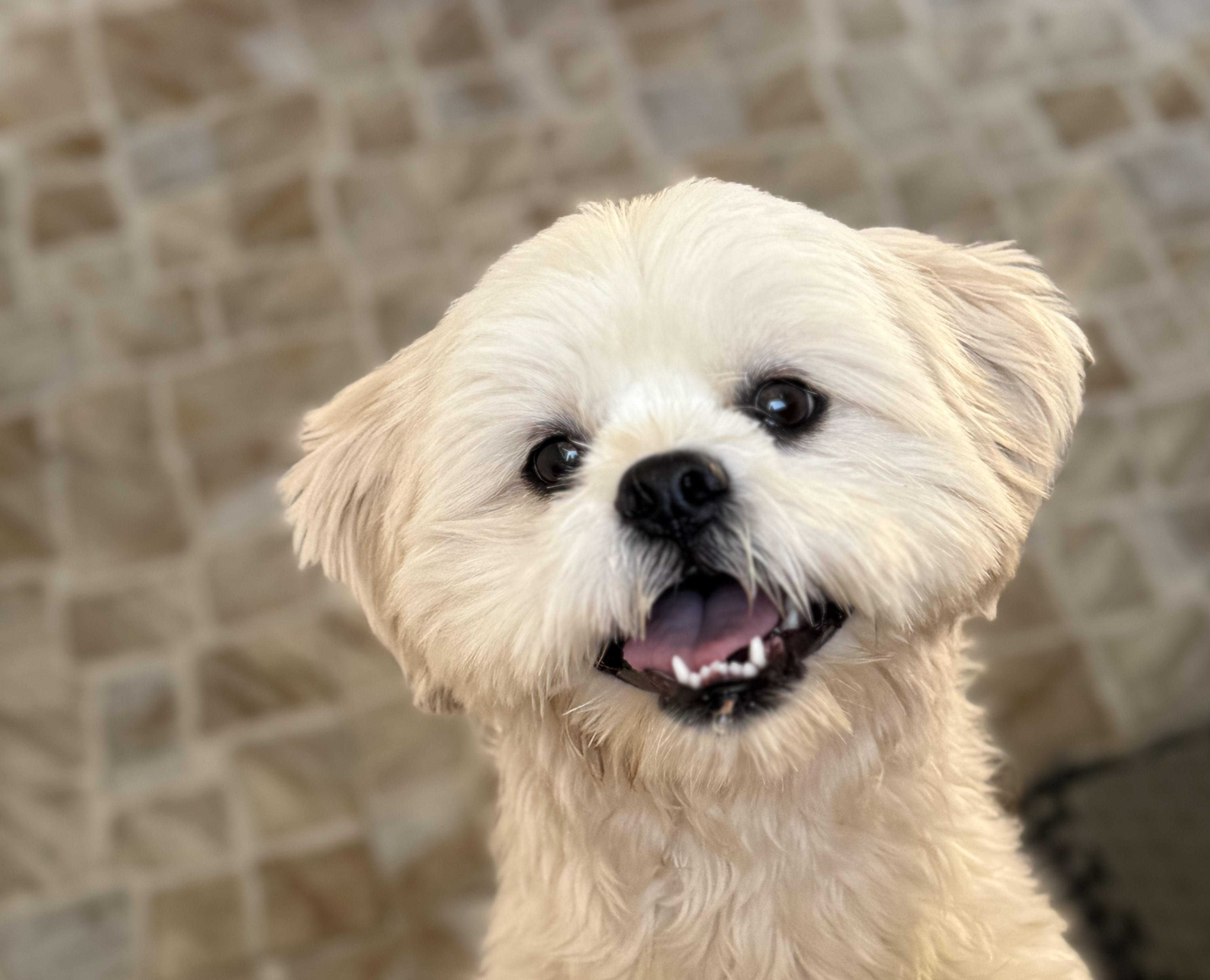 سلامت همراهان ارزشمند شما، در مرکز تمام تلاش‌ها و تعهدات ماست