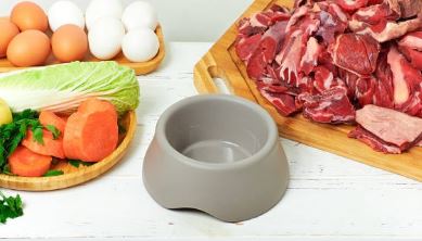 تغذیه در سگ و گربه